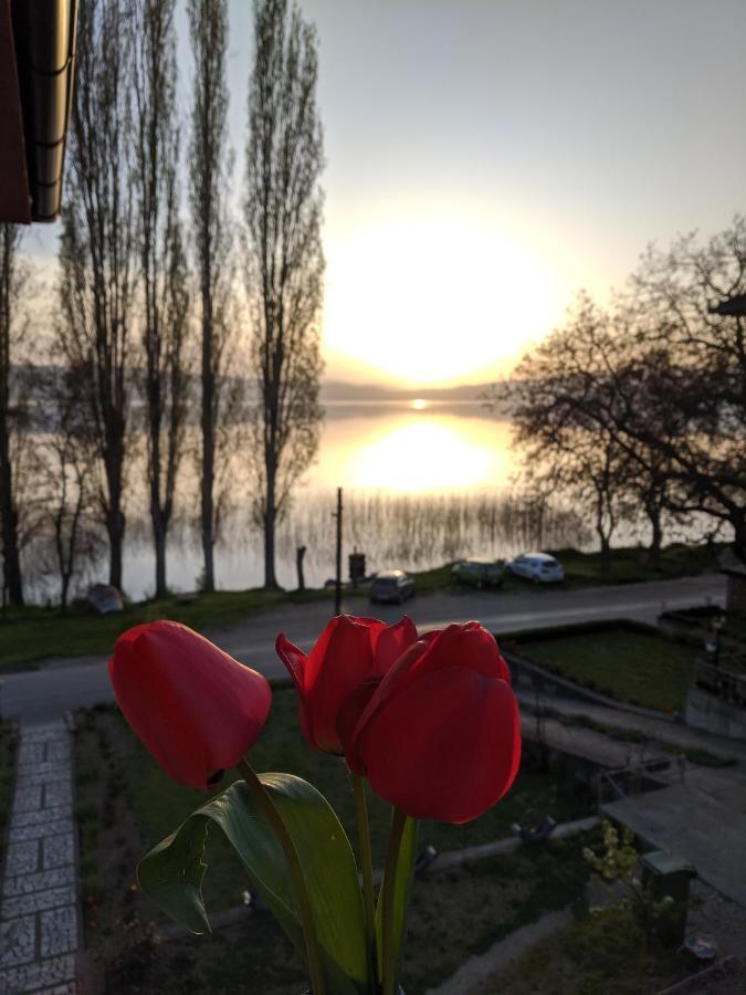 Ajkoski Apartments Peštani 外观 照片